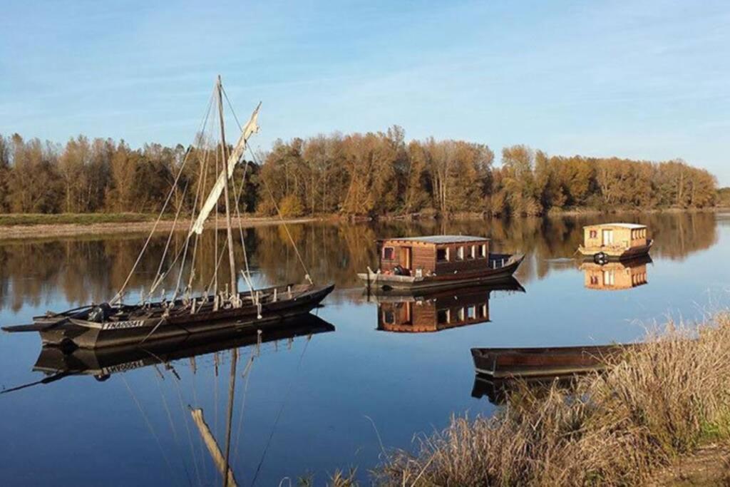 Gite La Gabare Entre Loire Et Chambord Villa Saint-Dyé-sur-Loire Kültér fotó